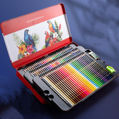 Water-Soluble Oil-Based Color Pencil Drawing Set