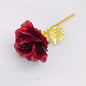 24K Luminous Color Gold Rose Flower Set