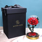 Metal Base Immortal Flower Glass Cover Gift Box