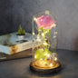 Enchanted Forever Rose Flower in Glass LED Light Christmas Decoration