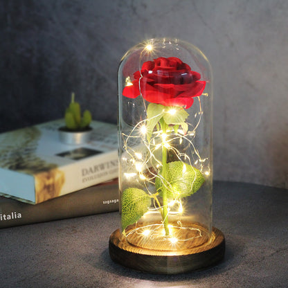 Enchanted Forever Rose Flower in Glass LED Light Christmas Decoration