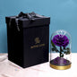 Metal Base Immortal Flower Glass Cover Gift Box