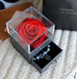 Valentines Day Gift Women Rose Jewelry Box Dried Flower Real Flowers Eternal Roses In Box