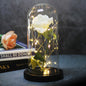 Enchanted Forever Rose Flower in Glass LED Light Christmas Decoration