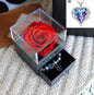 Valentines Day Gift Women Rose Jewelry Box Dried Flower Real Flowers Eternal Roses In Box