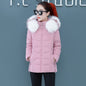 Women's Short Detachable Large Fur Collar Cotton Coat