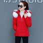 Women's Short Detachable Large Fur Collar Cotton Coat