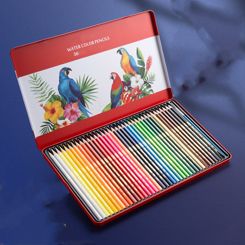 Water-Soluble Oil-Based Color Pencil Drawing Set