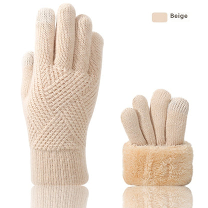 Double Layer Fleece-lined Thick Windproof Thermal Touch Screen Gloves