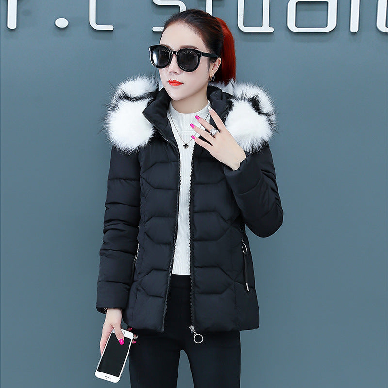 Women's Short Detachable Large Fur Collar Cotton Coat