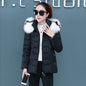 Women's Short Detachable Large Fur Collar Cotton Coat