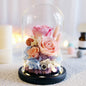 Valentine's Day Birthday Gift Gift Box Glass Cover Big Rose Immortal Flower