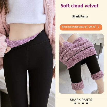 Women's Outer Wear Winter Spring And Autumn Tight And Warm Cotton Pants