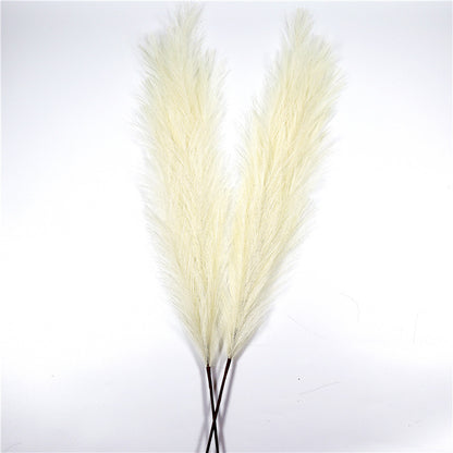 Fensterdeko lang 110 cm Pampas Natur Simulation Schilfgras Pampas