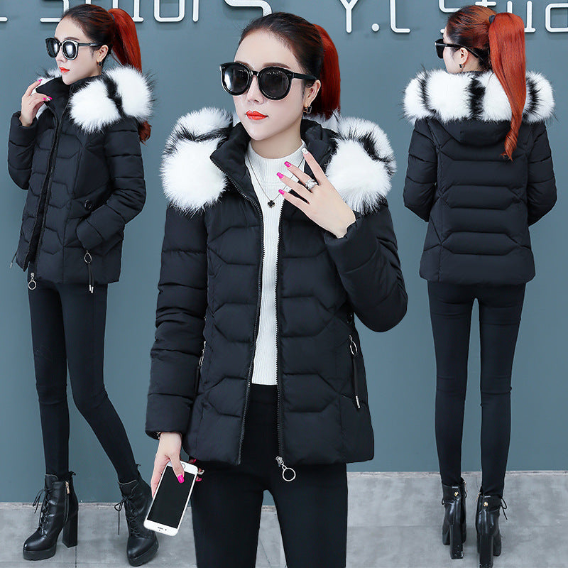 Women's Short Detachable Large Fur Collar Cotton Coat