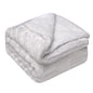 Thickened Flannel Lamb Wool Composite Double Blanket Leisure Blanket Gift Blanket