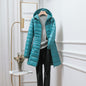 Women's Solid Color Casual Hooded Down Jacket